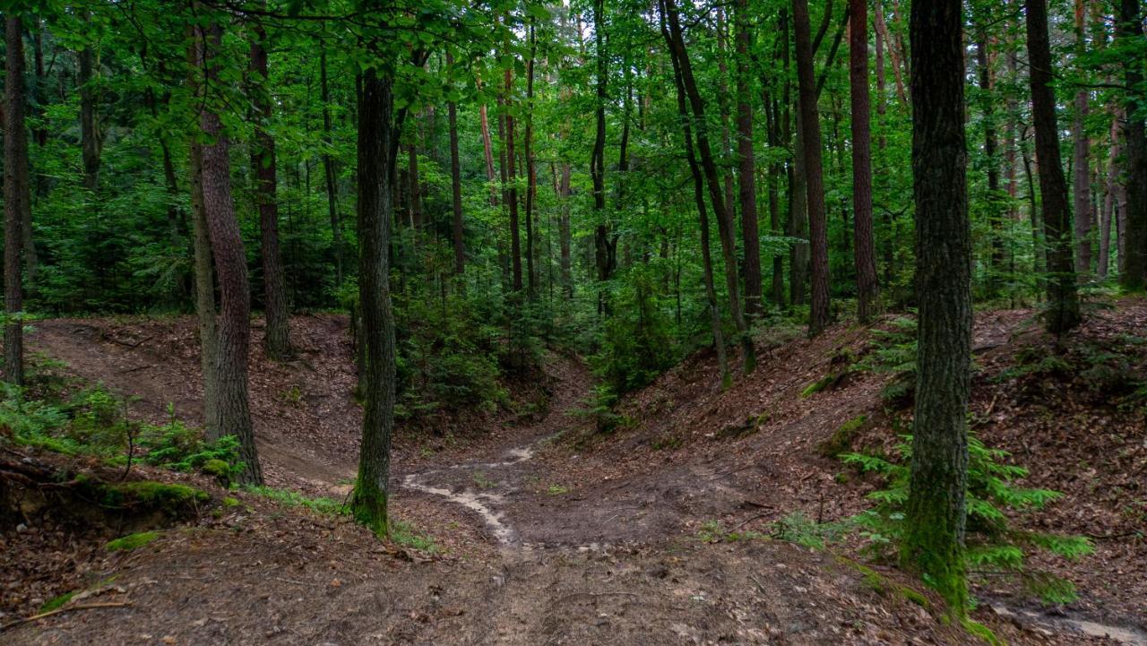 Siedlisko Pod Lasem Zwierzyniec ภายนอก รูปภาพ